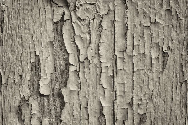 Sehr altes und verwittertes lackiertes Holz — Stockfoto