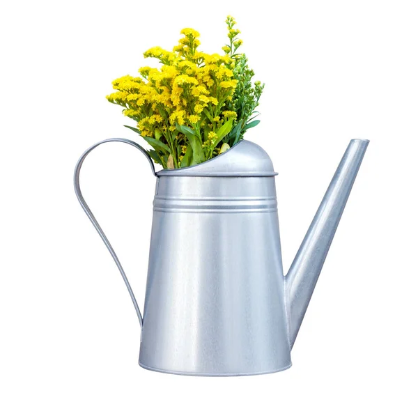 Decorative Metal Watering Can Yellow Wildflowers Isolated White Background — Stock Photo, Image