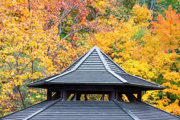 黄色と赤の秋紅葉背景を持つ古代の木製屋根詳細 — ストック写真