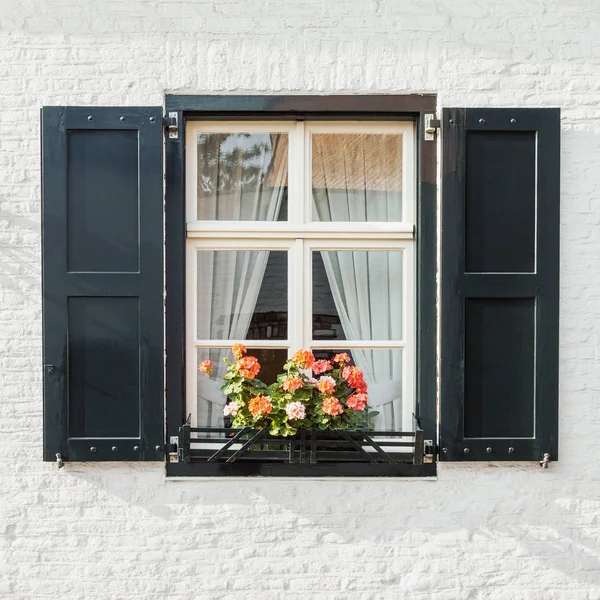 窗户上的白色砖墙与百叶窗和盛开的花盆 前视图建筑细节特写镜头 经典风格的复古窗框 — 图库照片