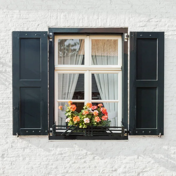 Venster Witte Bakstenen Muur Met Shutters Bloeiende Bloemen Pot Vooraanzicht — Stockfoto