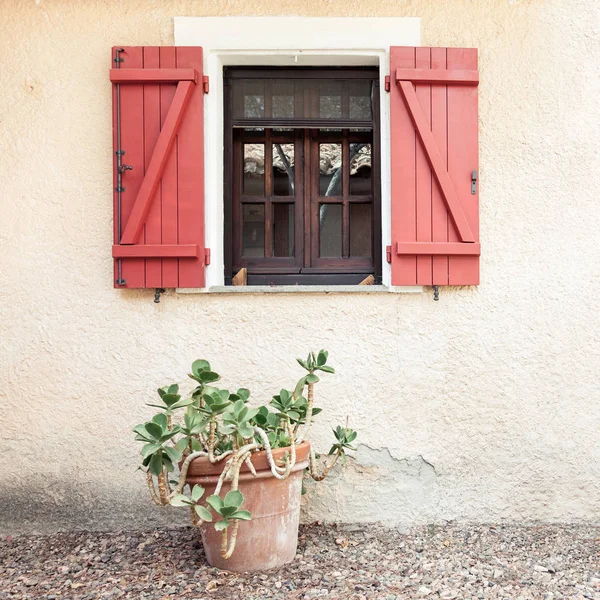 Vieja Ventana Casa Madera Con Persianas Abiertas Tropical Pálido Maceta — Foto de Stock