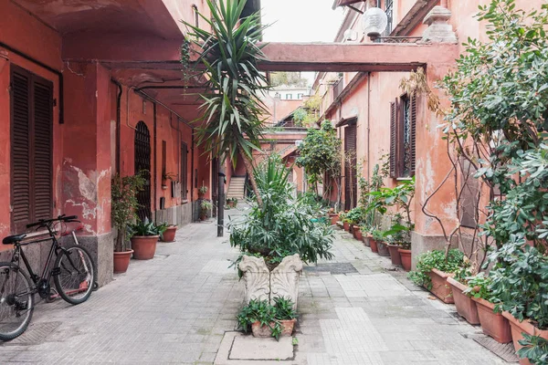 典型的な風化花鉢に熱帯植物をローマ旧市街の住宅の庭 — ストック写真