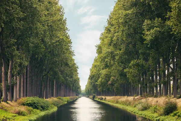 橋の近くの西フランダースのベルギー州の夏に木に囲まれたダム運河 — ストック写真