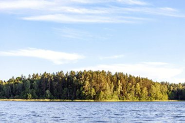 Yaz aylarında gün batımında sakin göl ve orman ile doğa manzara arka plan