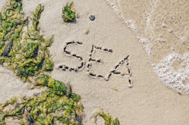 Word Sea beyaz dalga ve yeşil weeds ile kumlu bir plajda el yazısı