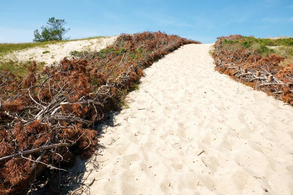 Пустой Путь Морю Песчаных Дюнах Яркий Летний День Низким Углом — стоковое фото
