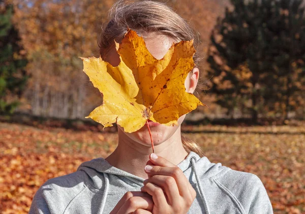 Teenage Girl Covering Face Yellow Maple Leaf Autumn Outdoor Environment — Stock fotografie