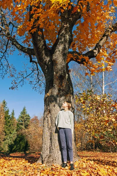 Teenagermädchen Herbst Unter Einem Gelben Ahornbaum Ahornbaum Park Herbst Mit — Stockfoto