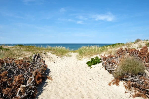 Pista Vazia Para Mar Dunas Arenosas Dia Verão Brilhante Paisagem — Fotografia de Stock