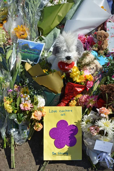 Masacre de las mezquitas de Christchurch - Love Conkers Mensaje de todos los niños — Foto de Stock