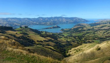 Akaroa Harbour Panorama Sonbahar Yeni Zelanda