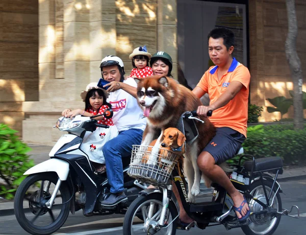 Ho Chi Minh Ville - Chiens en moto — Photo