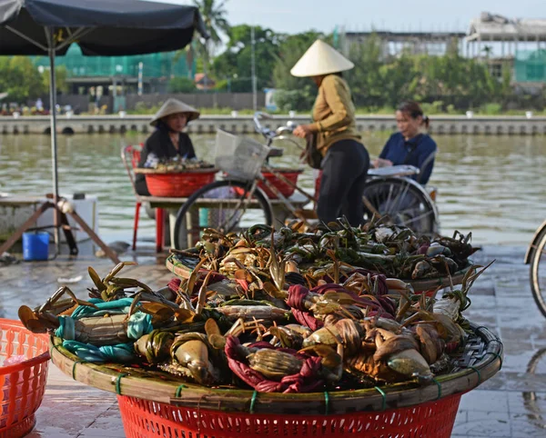Frauen verkaufen lebende Krabben auf dem hoi an market, Vietnam — Stockfoto