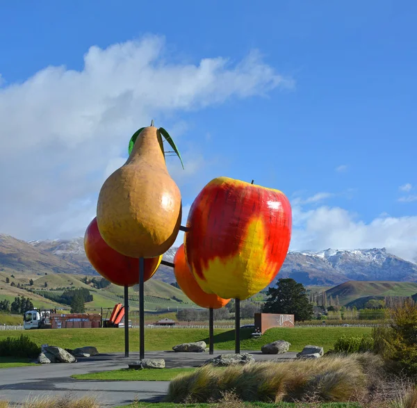 Symbols of the Fruit produced in Cromwell region, New Zealand — Stock Photo, Image