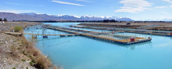 Salmon Farm Panorama en el lago Ruataniwha, Nueva Zelanda — Foto de Stock
