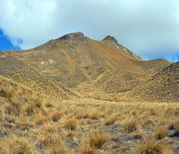 Lindis Pass Tussock Detail, Central Otago, Nouvelle-Zélande — Photo