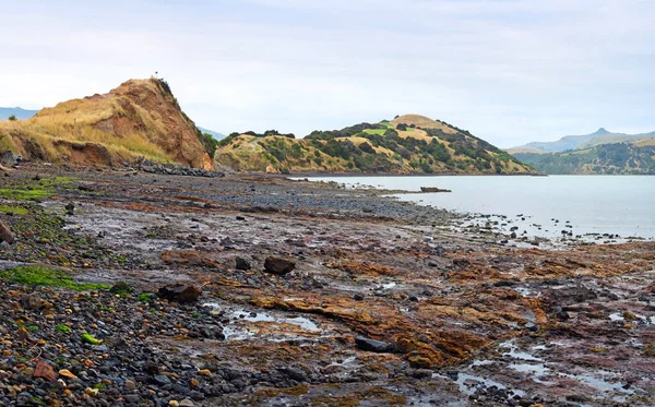 Онаве Пенья Вулканический Кратер Аква Харбуре Кантербери Новая Зеландия — стоковое фото