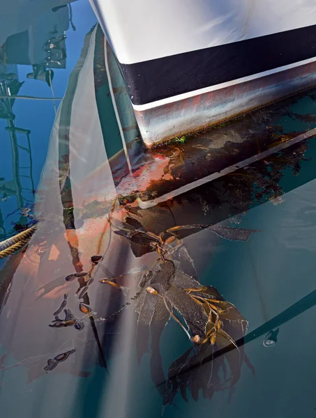 Ropes Boats Seaweed Bow Boat Marina Reflections Hull Sea — Stock Photo, Image