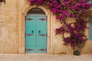 Antik Malta evin duvarında pembe begonviller ile