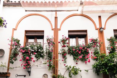Cordoba, Andalusia İspanya bitkiler bir sürü tipik Endülüs avlusu