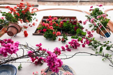 Cordoba, Andalusia İspanya bitkiler bir sürü tipik Endülüs avlusu