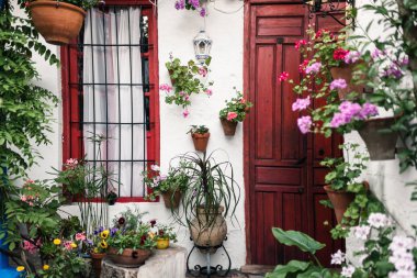 Cordoba, Andalusia İspanya bitkiler bir sürü tipik Endülüs avlusu