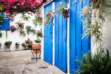 Cordoba, Andalusia İspanya mavi kapılı ve bitkilerin çok tipik Endülüs avluda