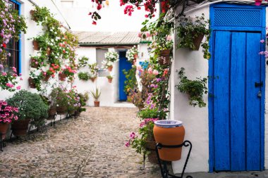 Cordoba, Andalusia İspanya mavi kapılı ve bitkilerin çok tipik Endülüs avluda