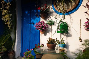 Cordoba, Andalusia İspanya mavi kapılı ve bitkilerin çok tipik Endülüs avluda