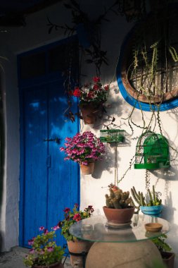 Cordoba, Andalusia İspanya mavi kapılı ve bitkilerin çok tipik Endülüs avluda