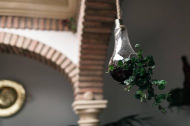 Cordoba, Andalusia İspanya bitkiler bir sürü tipik Endülüs avluda cam saksı