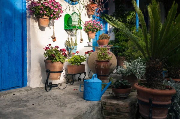 コルドバ アンダルシア スペイン青いドアと 多くの植物の典型的なアンダルシア風の中庭 — ストック写真