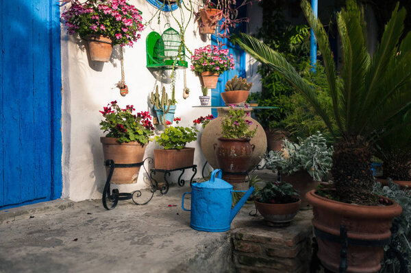 Typical andalusian courtyard in Cordoba, Andalusia Spain with blue doors and a lot of plants