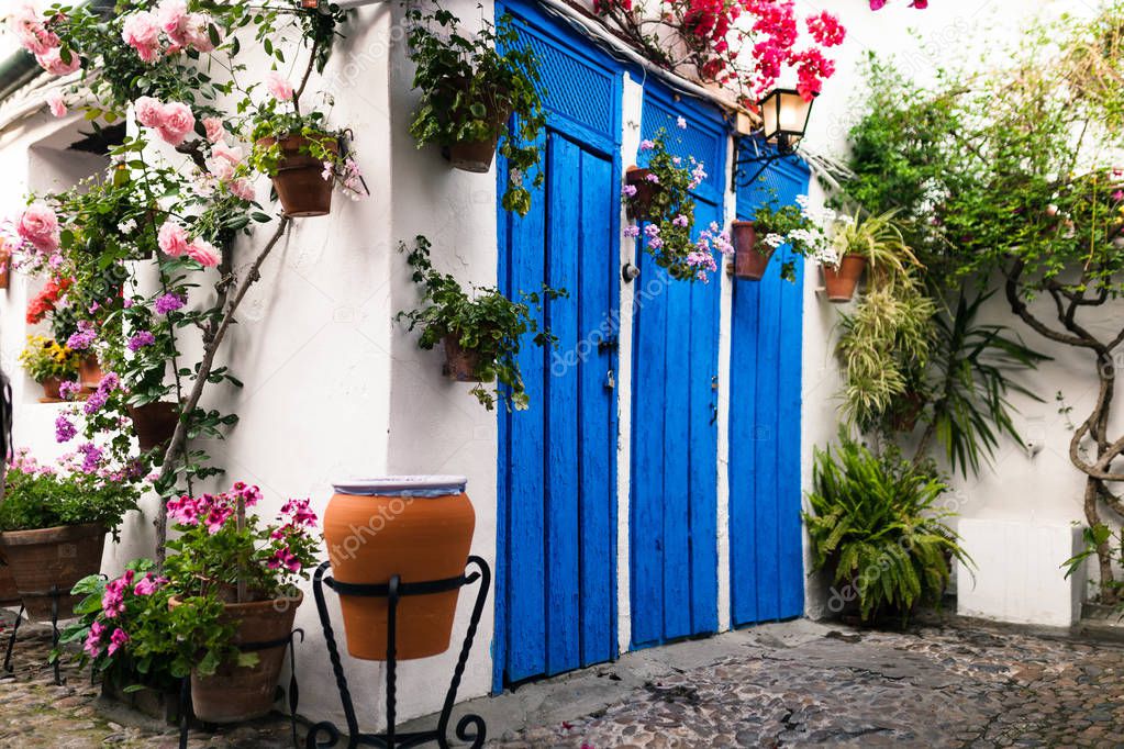 Typical andalusian courtyard in Cordoba, Andalusia Spain with blue doors and a lot of plants