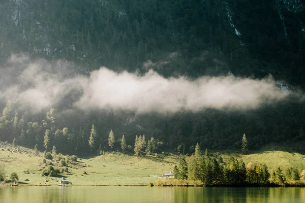 Blick Auf Den Wald Gebirge Nebel Seeufer — Stockfoto