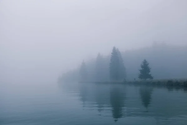 Vista Della Foresta Tra Nebbia Confine Del Lago Con Alberi — Foto Stock