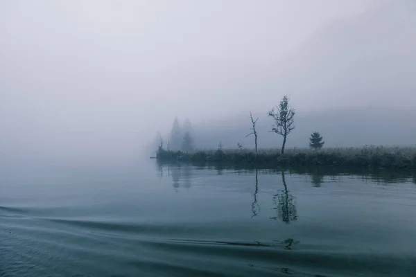 Vue Sur Forêt Parmi Brouillard Bordure Lac Avec Des Arbres — Photo