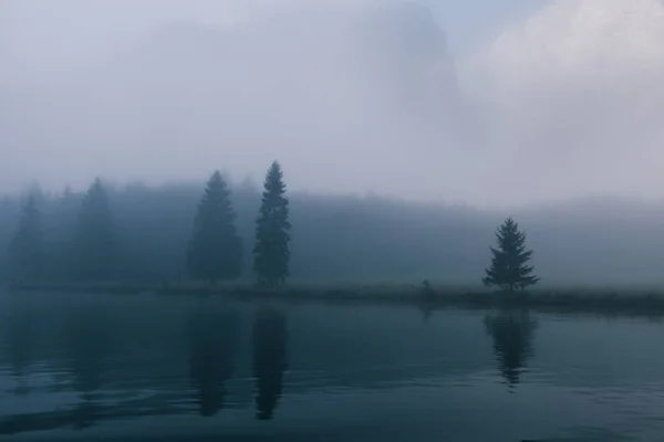 Vue Sur Forêt Parmi Brouillard Bordure Lac Avec Des Arbres — Photo