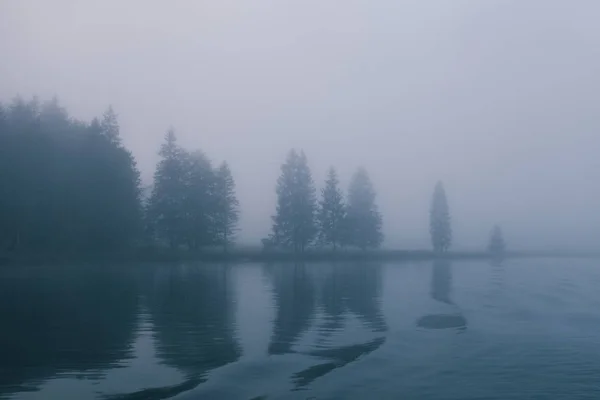 在湖的边界与神秘的树的雾之间的森林的看法 — 图库照片