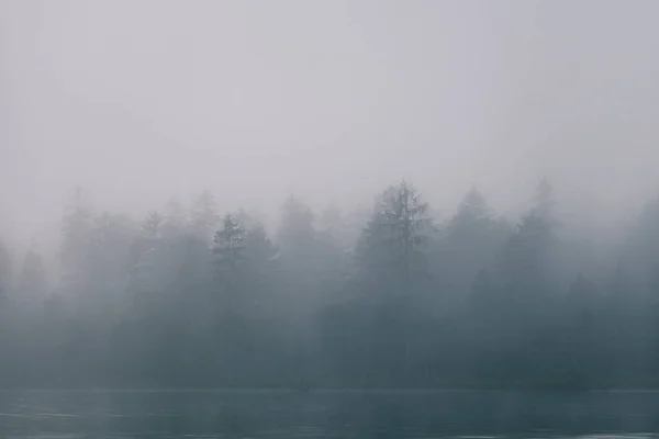 Blick Auf Den Wald Nebel Rand Des Sees Mit Geheimnisvollen — Stockfoto