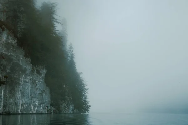 Blick Auf Den Wald Nebel Rand Des Sees Mit Geheimnisvollen — Stockfoto