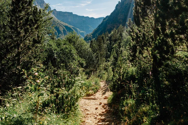 Zicht Vallei Van Weg Nationaal Park Ordesa Aragon Pyreneeën Spanje — Stockfoto