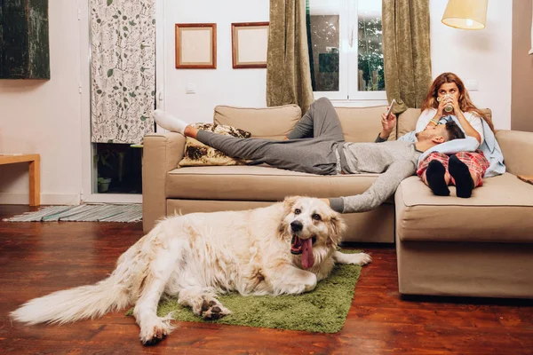 Młoda uśmiechnięta para razem na kanapie wyciera swojego psa — Zdjęcie stockowe