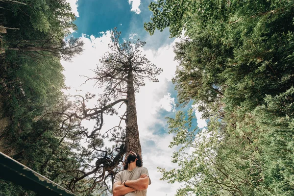 Jovem sorridente em uma floresta observando a floresta — Fotografia de Stock