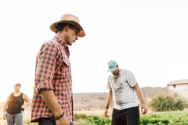 Rolnicy mężczyźni z kapeluszem pracujących w swojej dziedzinie — Zdjęcie stockowe