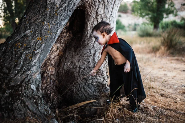 Ragazzo in costume serio di dracula ad Halloween sulla foresta — Foto Stock