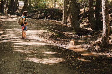 Anne ve kızı ormanda bir patikada yürüyor.