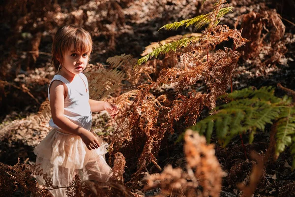 Pequena menina branca se agachando na floresta entre samambaias — Fotografia de Stock