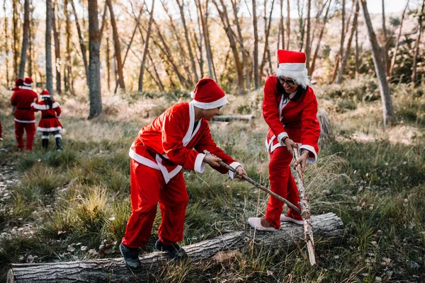 Mamma og sønn forkledd for julen leker de i skogen. – stockfoto